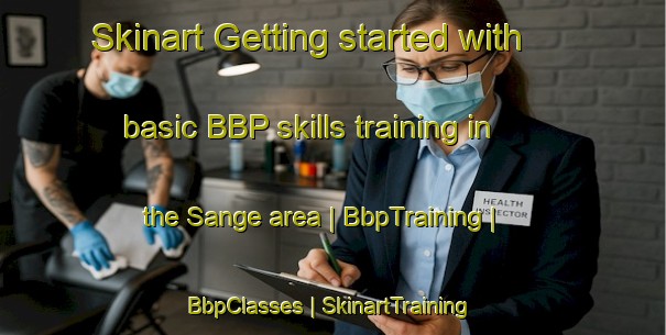 Skinart Getting started with basic BBP skills training in the Sange area | BbpTraining | BbpClasses | SkinartTraining-the Democratic Republic of the Congo
